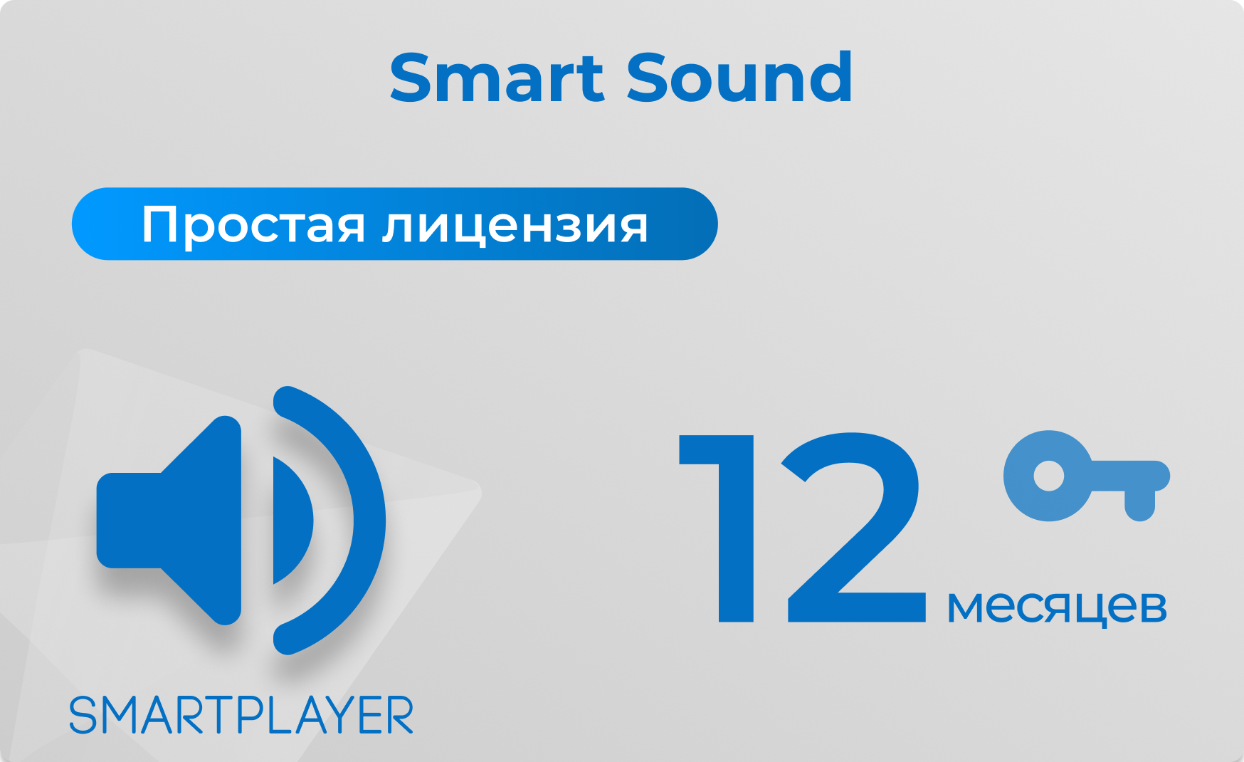 SmartSound-1Y-Saas